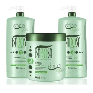 Babosa Aloe Vera Vitamins Dry Hair Rebuilding Treatment Kit 3x1 - Shine Hair