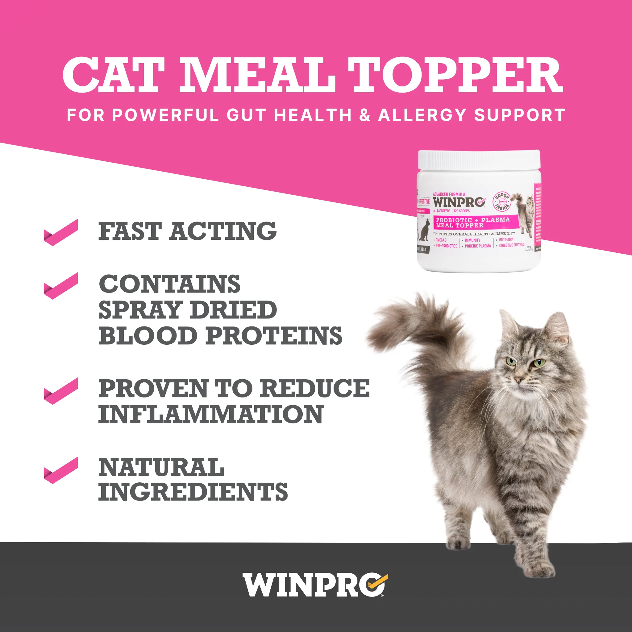 Cat Probiotic   Plasma Meal Topper