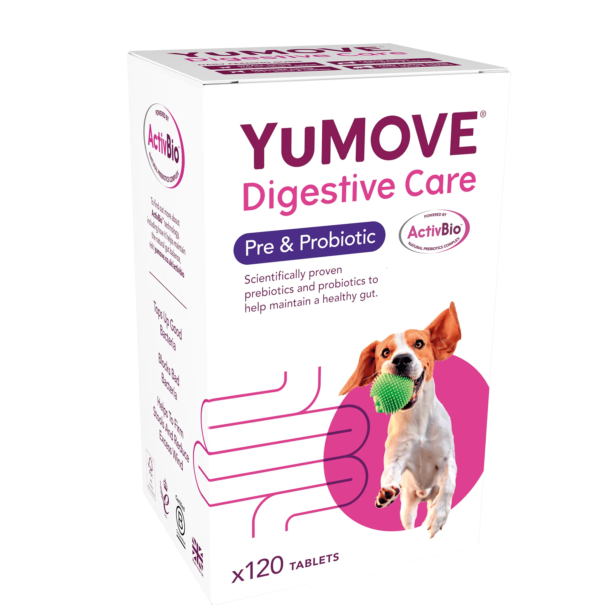 Digestive Care Pre & Probiotic