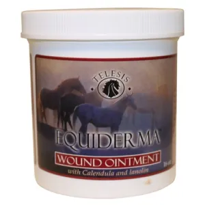 EQUIDERMA WOUND OINTMENT