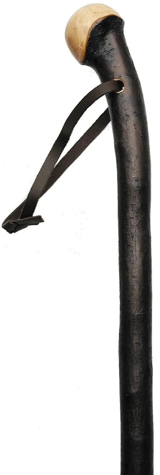 Extra-Long Blackthorn Root Knob Handle Walking Cane w/ Leather Strap