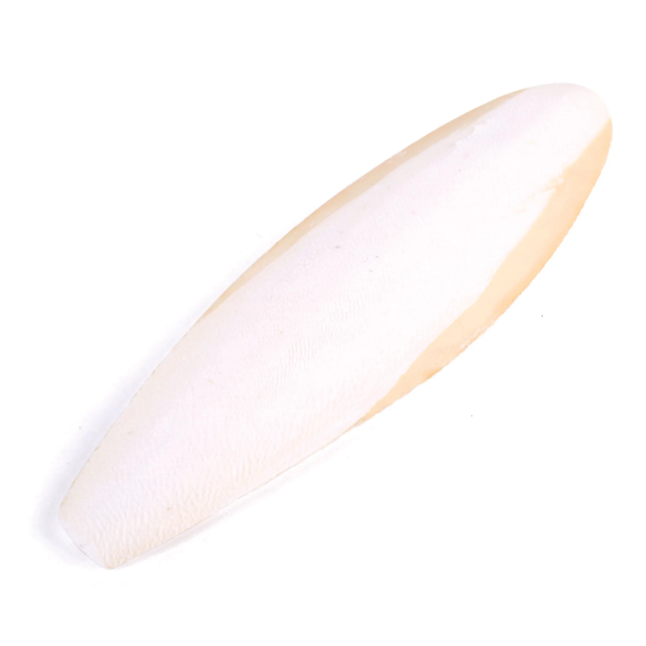 Kazoo Natural Cuttlebone Large