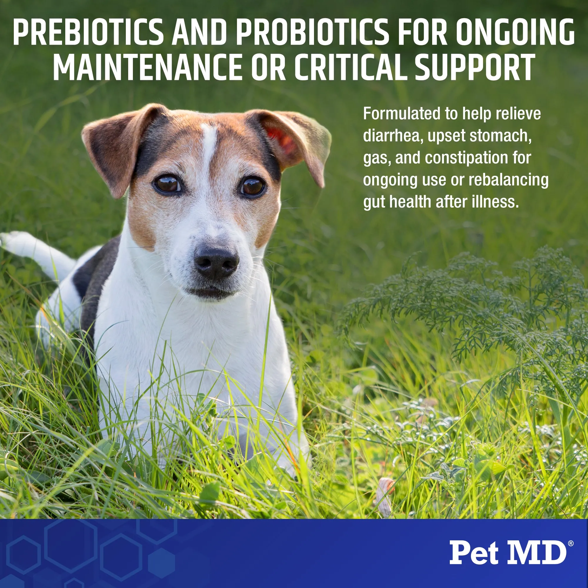 Pet Biotic Probiotics for Dogs & Cats - 2.12 oz