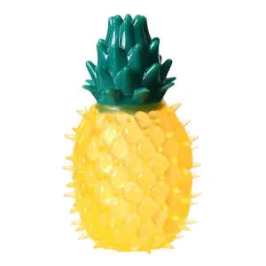 Pineapple Fruit Shape Chew Toy