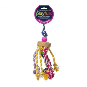 Prevue Pet Playfuls Court Jester Bird Toy