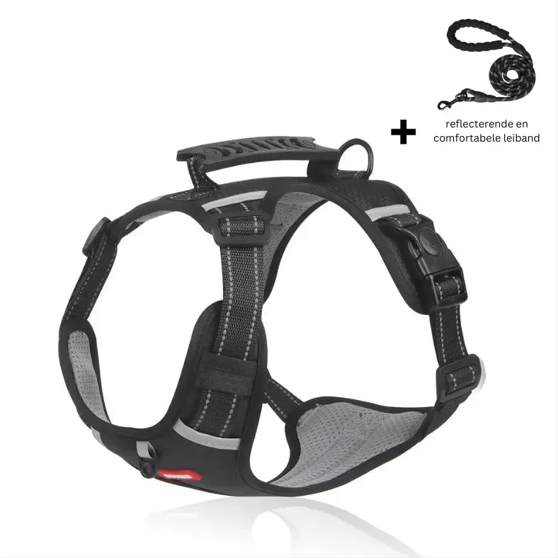 Reflective Stress- Relieving Harness